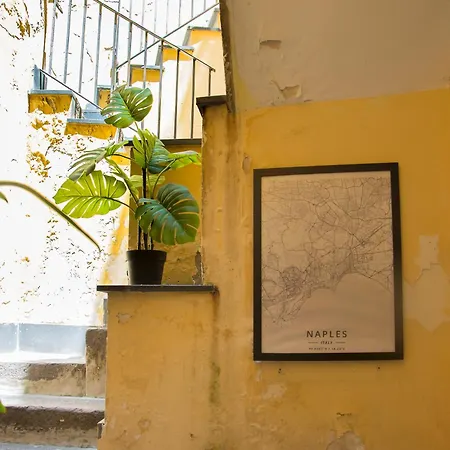 B&B Alma Megaris